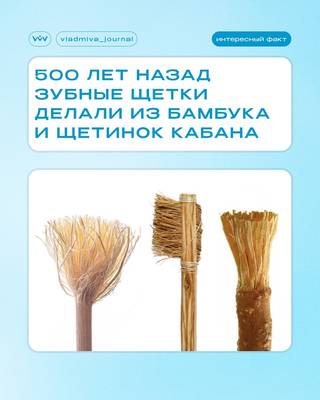 От палочки до щетины — эволюция зубной щётки.